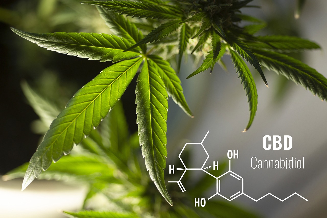 Anwendungsgebiete für CBD (Cannabidiol)